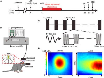 Ultrasound Stimulation of Prefrontal Cortex Improves Lipopolysaccharide-Induced Depressive-Like Behaviors in Mice